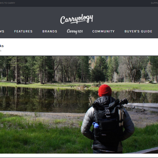 screenshot of carryology review for the flanders and davis