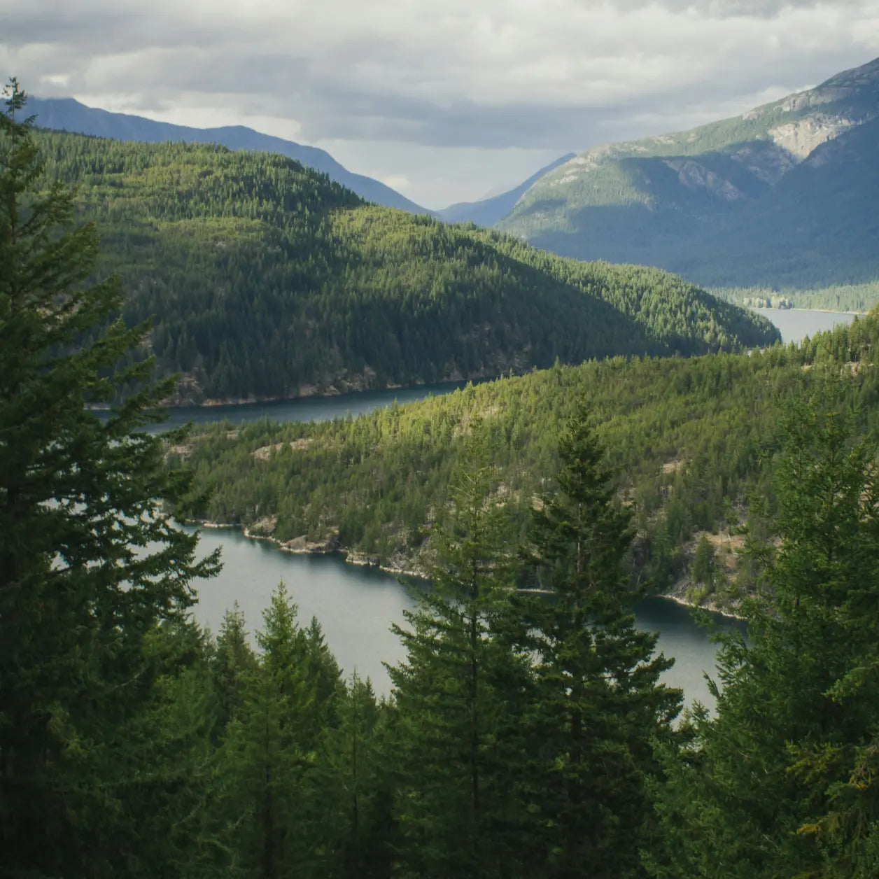Landscape with mountains, trees and a river in the Pacific Northwest.