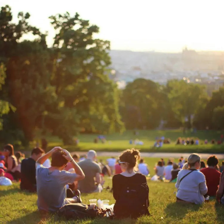 A group of people sitting in a park at sunset.