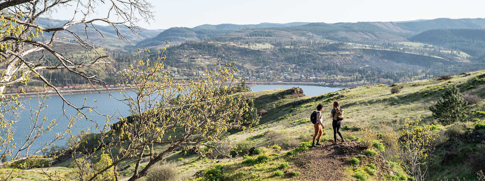 hikers on a trail in the Columbia River Gorge with backpacks