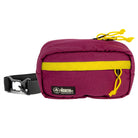 pioneer 9 hip pack in burgundy with gold accent and north st label
