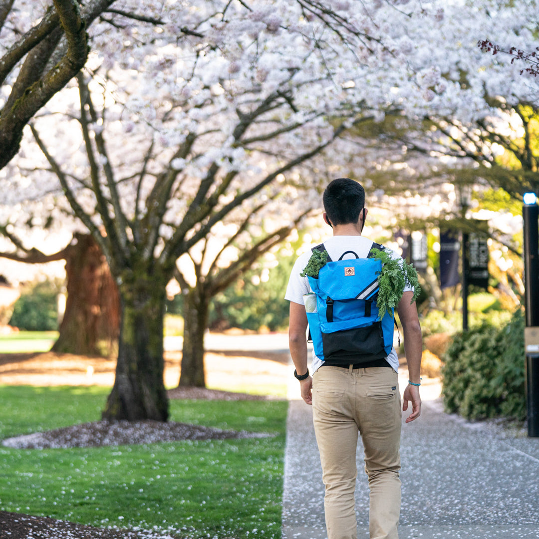 Belmont Backpack - North St. Bags